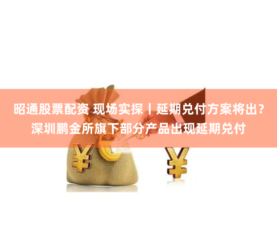昭通股票配资 现场实探丨延期兑付方案将出？深圳鹏金所旗下部分产品出现延期兑付