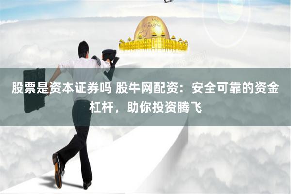 股票是资本证券吗 股牛网配资：安全可靠的资金杠杆，助你投资腾飞
